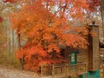 Fall is a magical time to be at Amy`s Creek